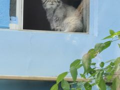 -青藏高原野生动物园