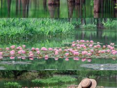 -白鹭湾湿地公园