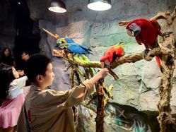 -Zoolung Zoolung动物主题公园(海信广场店)