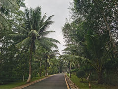 -东寨港红树林旅游区