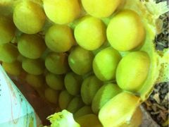 iphone_upload_pic-利强记北角鸡蛋仔(弥敦道店 )