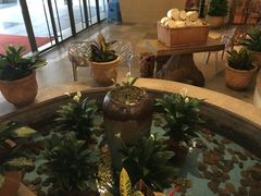 -润园四季椰子鸡火锅(海上世界店)