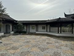 -上海滨江森林公园