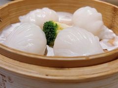 -悦景酒家(罗湖店)