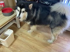 -白兔子密室(长寿路店)