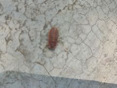 -鬼笑石后山停车场
