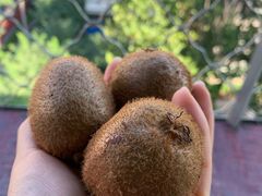 -陕西省红河谷森林公园