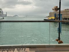 -海港城