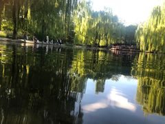 -玲珑塔公园