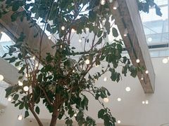 -大树餐厅(红旗街万达店)