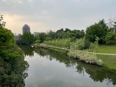 -眉山湿地公园(东坡区)