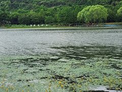 -长广溪湿地公园