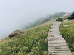 -白草畔自然风景区