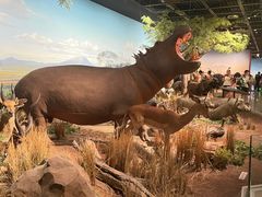 -陕西自然博物馆