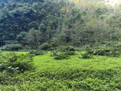 -武隆天坑寨子景区