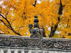 -泰山风景名胜区-普照寺