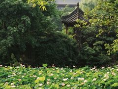 -成都市文化公园