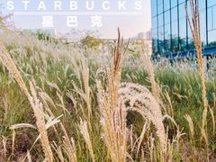 -星巴克(深圳前海企业公馆店)