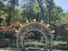 -杭州黄龙洞