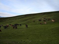 -新疆那拉提国家旅游度假区