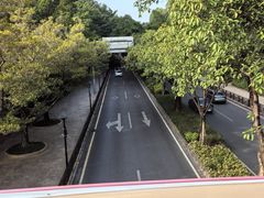 -广州长隆国际大马戏