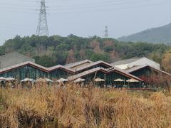 -西湖风景区-江洋畈生态公园