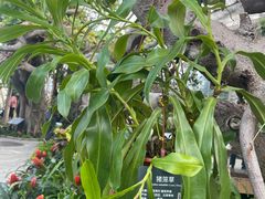 -北京植物园-展览温室