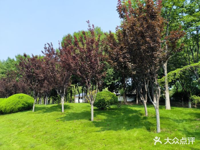 济南国际园博园图片