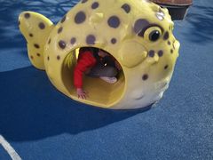 -第35届青岛国际啤酒节