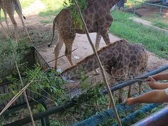 -秦皇岛野生动物园