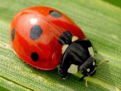 -TA'塔雀 墨西哥餐厅(江都金鹰店)