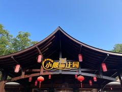 -普洱太阳河森林公园