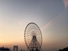 -代数学家algebraist(苏州中心店)