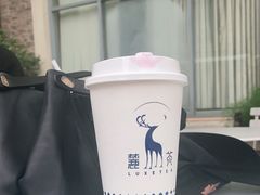 -麓茶