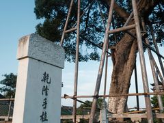 -观潮胜地公园