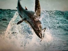 -同济大学四平路校区深海探索馆