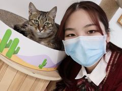 -Heymao猫咖.咖啡厅(东门店)