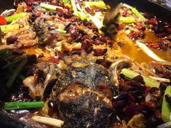 -老板恋上鱼(恒隆广场店)