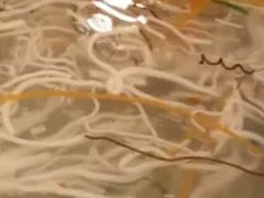 -淮上豆府(水厂路店)