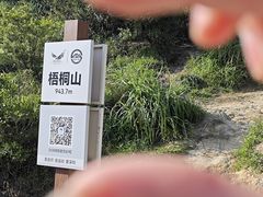 -梧桐山风景名胜区