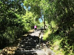 -广州白江湖森林公园