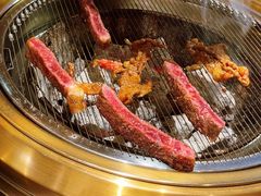 -杨小佳·齐齐哈尔烤肉·烤串(广州店)