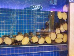 水产区-乔哥铭洋海鲜自助(皇城恒隆广场店)