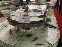 -沙田台山海鲜·酣客酒窖