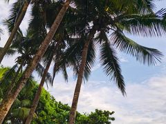 -石梅湾艾美度假酒店