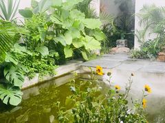 -漫笙舍Manse·咖啡·民宿