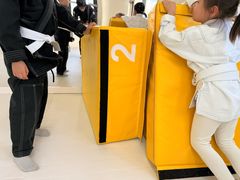 -勇气斑马·巴西柔术&跆拳道(浦东三林店)