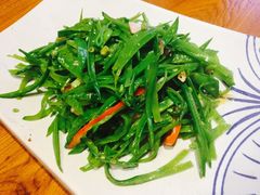 -云海肴·汽锅鸡·云南菜(天津国金汇店)