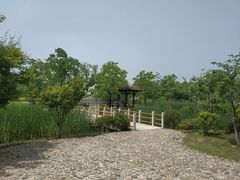 -尚贤河湿地