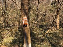 -南京市江宁方山